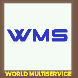 WORLD MULTISERVICE